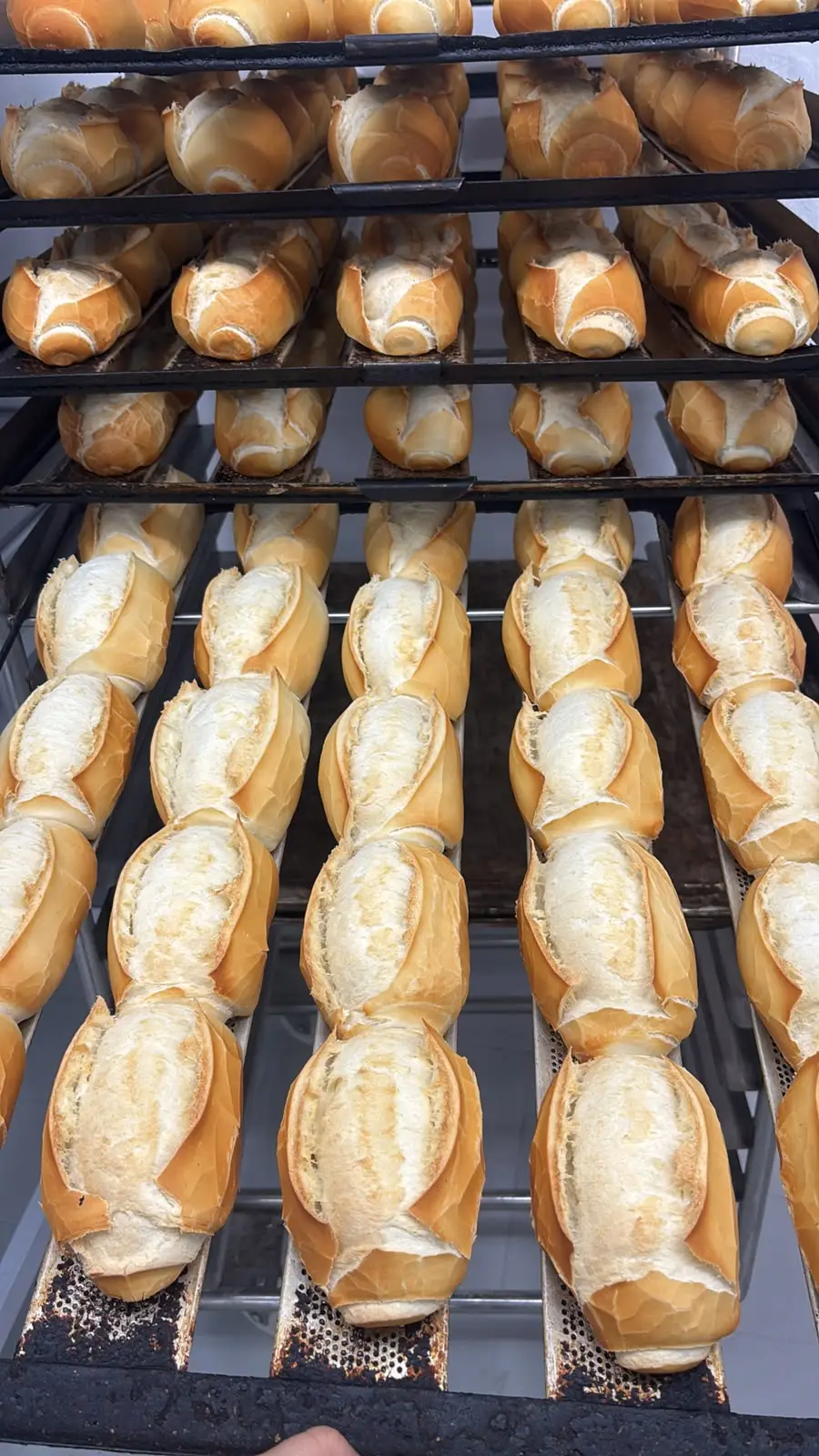 Pães em forno durante o processo de produção